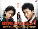 DVD  : Tokyo DOGS 6 DVD