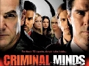 DVD  : Criminal Minds Season 5 / ҹҪҡ 5 (ش 1) 6 DVD