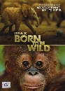 DVD ä : IMAX Born To Be Wild (2011) / ȨԵ 1 蹨