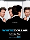 DVD  : White Collar Season 3 / Ҫҡͧྪ 3 8 蹨