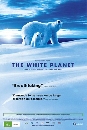DVD ä :The White Planet (2006) ըͧ  1 蹨