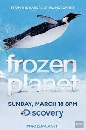 DVD ä : Frozen Planet The Complete Series / Ȩš 1 蹨