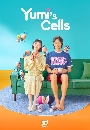 DVD  : Yumis Cells (2021) (ֹ +  ѹ͹) 4 蹨