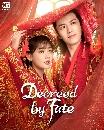 DVD չ : Decreed by Fate (2022) ҹ˭ԧ ҪԧҡѺ 4 蹨