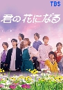 DVD  : Kimi no Hana ni Naru ѹԺҹ (2022) 2 蹨