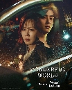 DVD  : Wonderful World (2024) ( + ֹ) 4 蹨