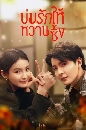 DVD չ (ҡ) : ѡҹ (2024) Save It For The Honeymoon 4 蹨