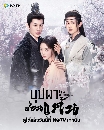 DVD չ : Fate of Beauty (2024) ػҫ͹ 4 蹨